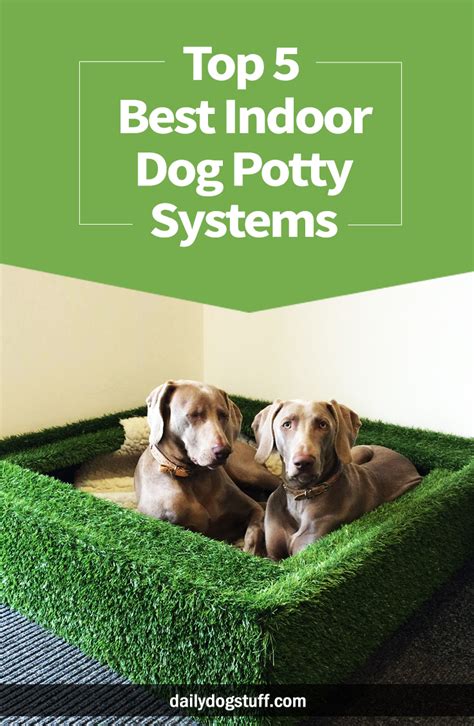 Indoor Potty System For Dogs